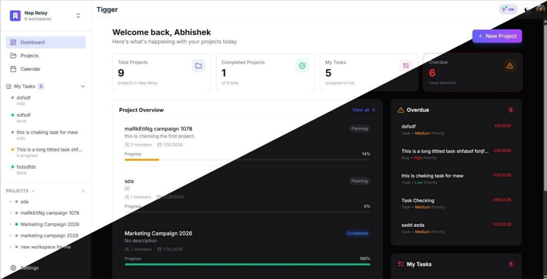 Tigger — project dashboard